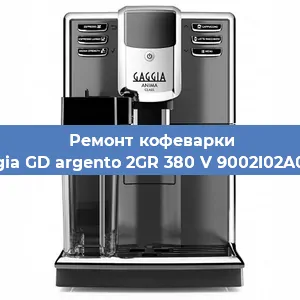 Чистка кофемашины Gaggia GD argento 2GR 380 V 9002I02A0008 от кофейных масел в Новосибирске